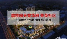 沧州碧桂园最新爆料新闻